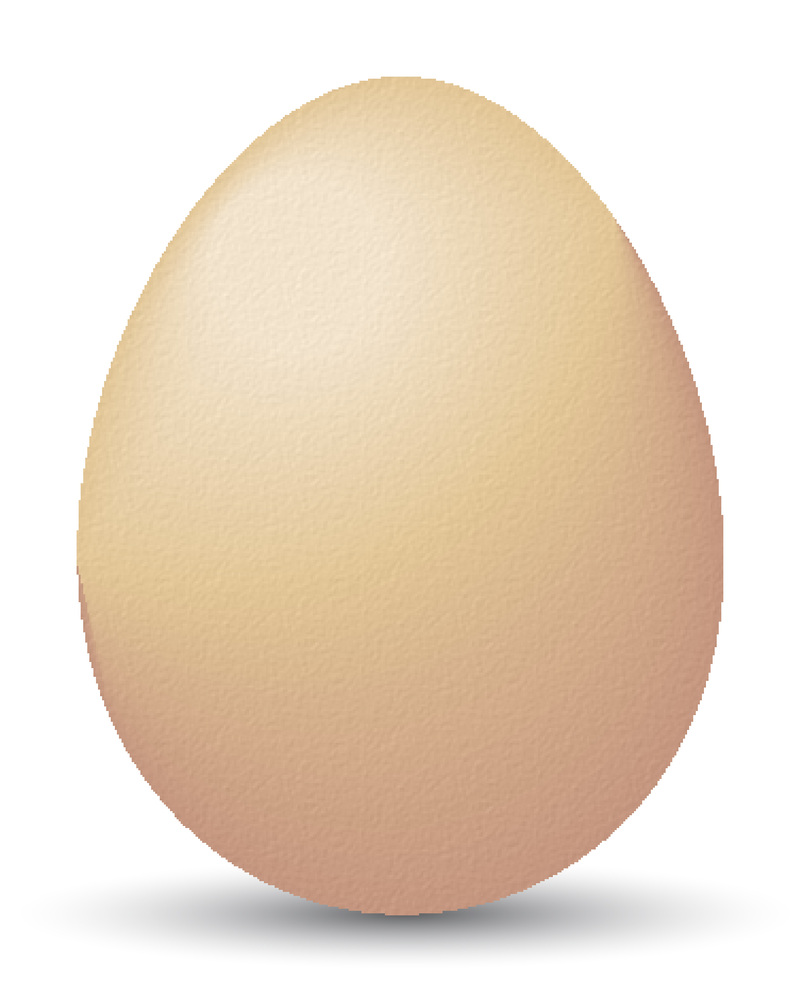 How to make a realistic egg on illustrator