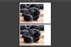 How to Add Multiple Image to PDF Using JSPDF Javascript Code