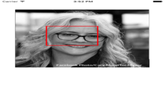 Implement Face Detection Feature in iOS Swift Using Core Image Framework