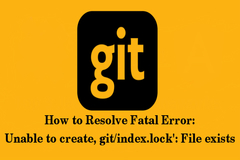 fatal: Unable to create, git/index.lock': File exists