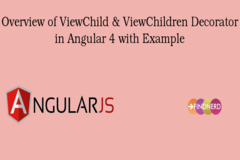 Overview of ViewChild & ViewChildren Decorator in Angular 4 with Example